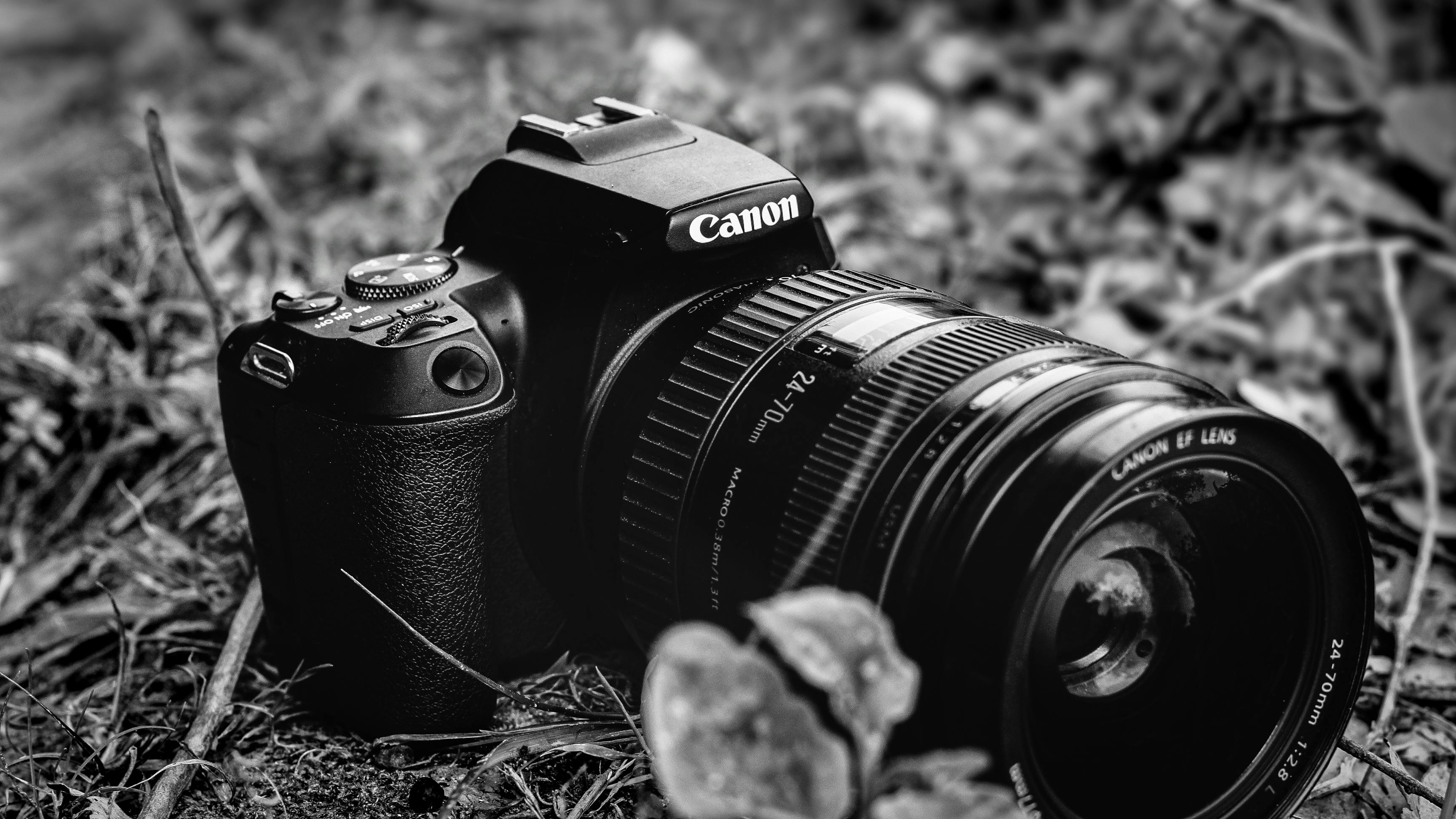 photo d'un appareil photo posé sur l'herbe